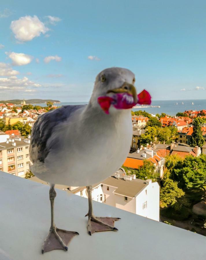 Pokoje Przy Plazy Z Widokiem Na Morze Apartment Сопот Екстериор снимка